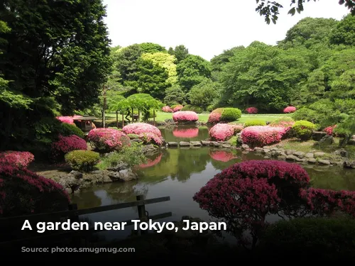 A garden near Tokyo, Japan