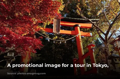 A promotional image for a tour in Tokyo, Japan