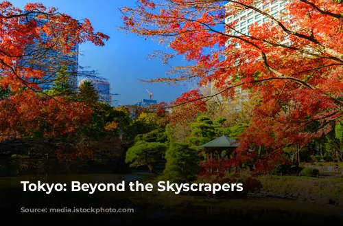 Tokyo: Beyond the Skyscrapers