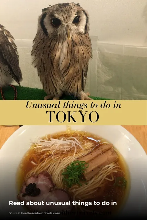 Read about unusual things to do in Tokyo