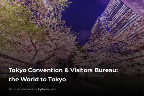 Tokyo Convention & Visitors Bureau: Connecting the World to Tokyo