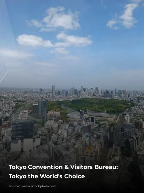 Tokyo Convention & Visitors Bureau: Making Tokyo the World's Choice