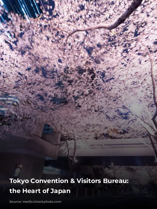 Tokyo Convention & Visitors Bureau: Unveiling the Heart of Japan