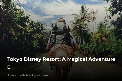 Tokyo Disney Resort: A Magical Adventure Awaits! ✨