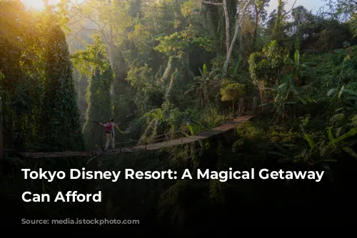 Tokyo Disney Resort: A Magical Getaway You Can Afford