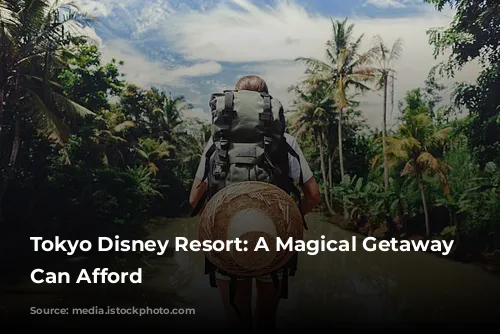 Tokyo Disney Resort: A Magical Getaway You Can Afford