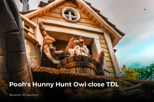 Pooh's Hunny Hunt Owl close TDL