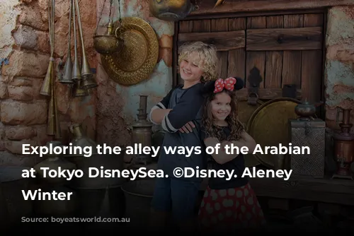 Exploring the alley ways of the Arabian Coast at Tokyo DisneySea. ©Disney. Aleney de Winter