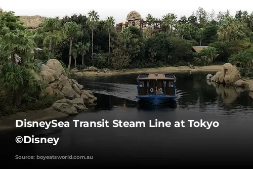 DisneySea Transit Steam Line at Tokyo DisneySea ©Disney