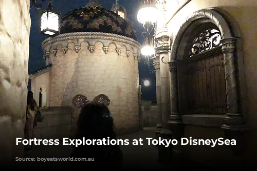 Fortress Explorations at Tokyo DisneySea