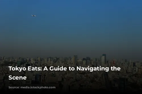 Tokyo Eats: A Guide to Navigating the Food Scene