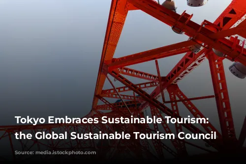 Tokyo Embraces Sustainable Tourism: Joining the Global Sustainable Tourism Council