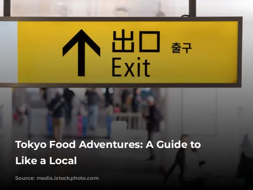 Tokyo Food Adventures: A Guide to Eating Like a Local