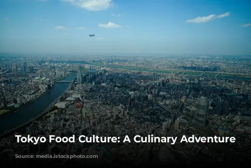 Tokyo Food Culture: A Culinary Adventure Awaits!