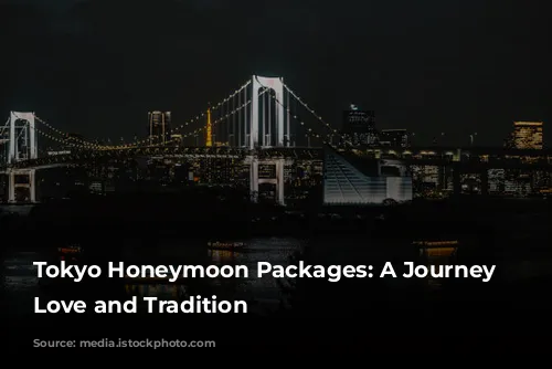 Tokyo Honeymoon Packages: A Journey Through Love and Tradition