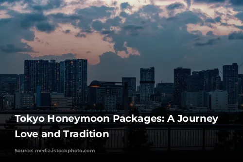 Tokyo Honeymoon Packages: A Journey Through Love and Tradition