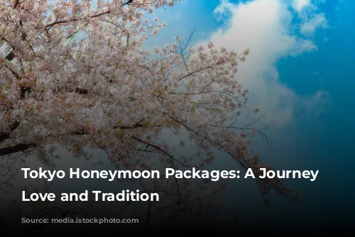 Tokyo Honeymoon Packages: A Journey Through Love and Tradition