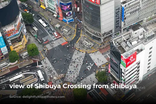 view of Shibuya Crossing from Shibuya Sky.