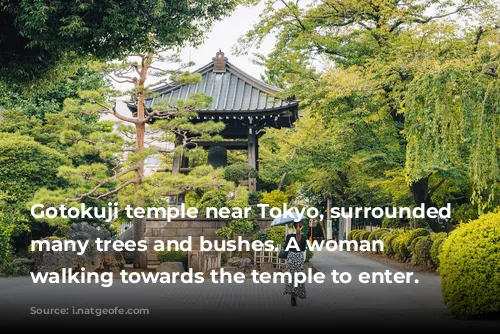 Gotokuji temple near Tokyo, surrounded by many trees and bushes. A woman is walking towards the temple to enter.