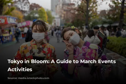 Tokyo in Bloom: A Guide to March Events and Activities