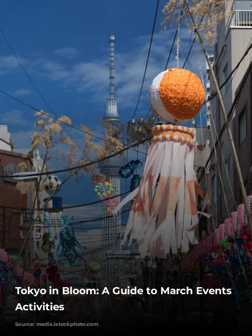 Tokyo in Bloom: A Guide to March Events and Activities