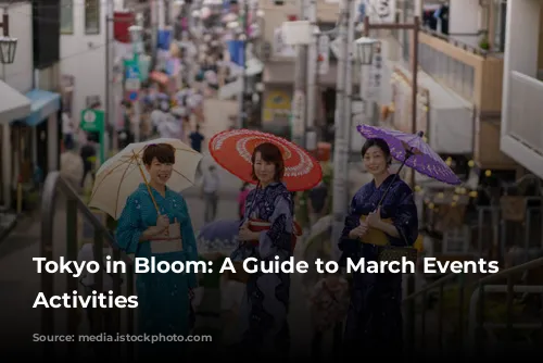 Tokyo in Bloom: A Guide to March Events and Activities