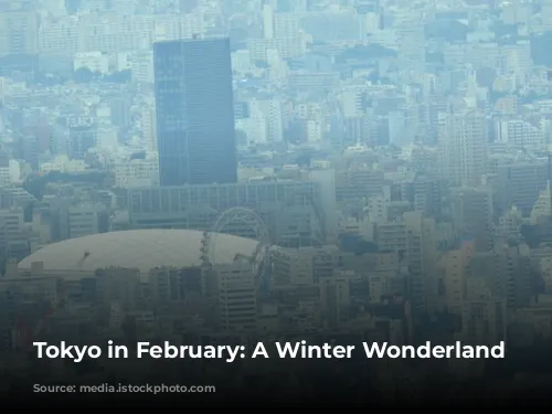 Tokyo in February: A Winter Wonderland