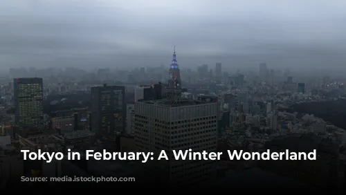 Tokyo in February: A Winter Wonderland