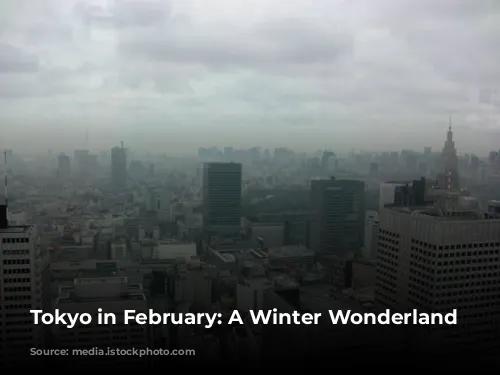 Tokyo in February: A Winter Wonderland