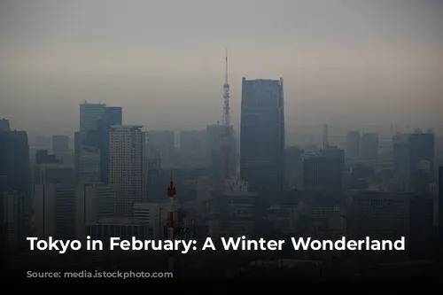 Tokyo in February: A Winter Wonderland