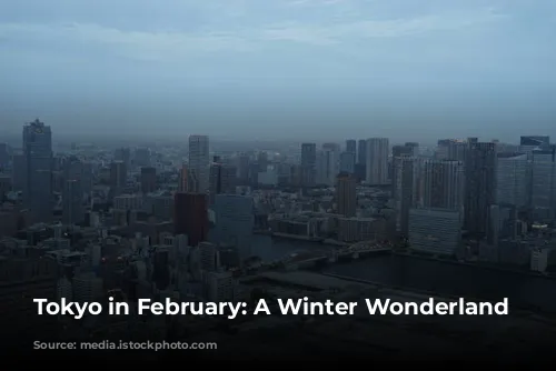 Tokyo in February: A Winter Wonderland