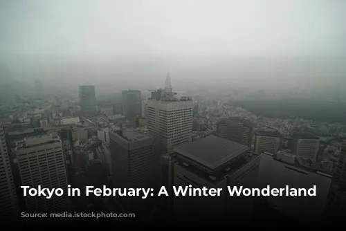 Tokyo in February: A Winter Wonderland