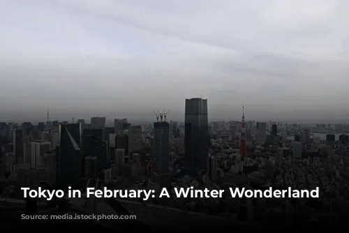 Tokyo in February: A Winter Wonderland