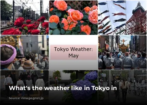 What's the weather like in Tokyo in May?