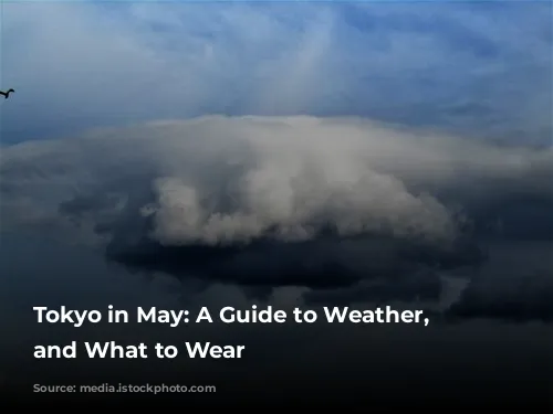 Tokyo in May: A Guide to Weather, Events, and What to Wear