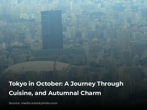 Tokyo in October: A Journey Through Culture, Cuisine, and Autumnal Charm