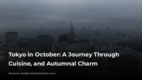 Tokyo in October: A Journey Through Culture, Cuisine, and Autumnal Charm