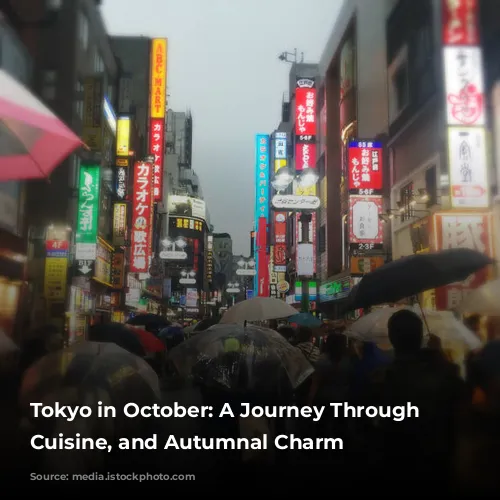 Tokyo in October: A Journey Through Culture, Cuisine, and Autumnal Charm