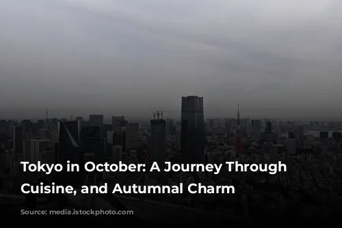 Tokyo in October: A Journey Through Culture, Cuisine, and Autumnal Charm