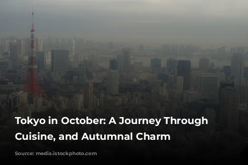 Tokyo in October: A Journey Through Culture, Cuisine, and Autumnal Charm