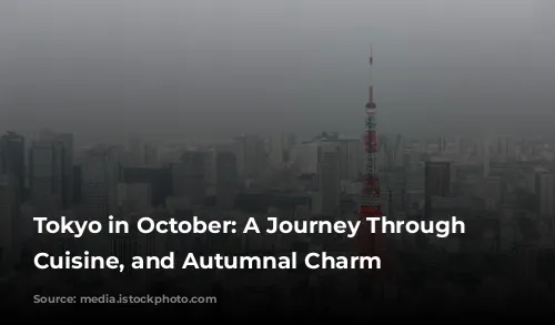 Tokyo in October: A Journey Through Culture, Cuisine, and Autumnal Charm