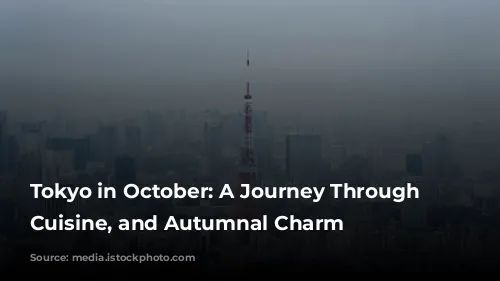 Tokyo in October: A Journey Through Culture, Cuisine, and Autumnal Charm