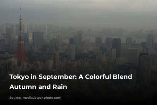 Tokyo in September: A Colorful Blend of Autumn and Rain