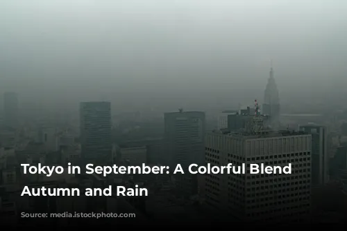 Tokyo in September: A Colorful Blend of Autumn and Rain