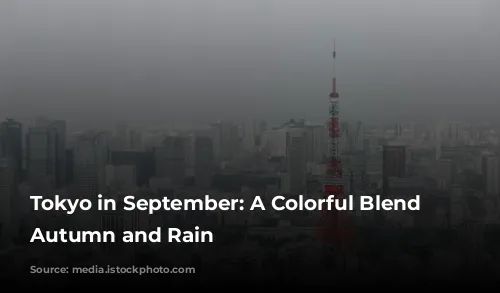 Tokyo in September: A Colorful Blend of Autumn and Rain