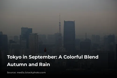 Tokyo in September: A Colorful Blend of Autumn and Rain