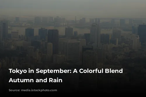 Tokyo in September: A Colorful Blend of Autumn and Rain