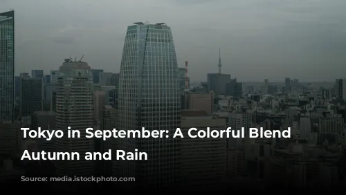 Tokyo in September: A Colorful Blend of Autumn and Rain