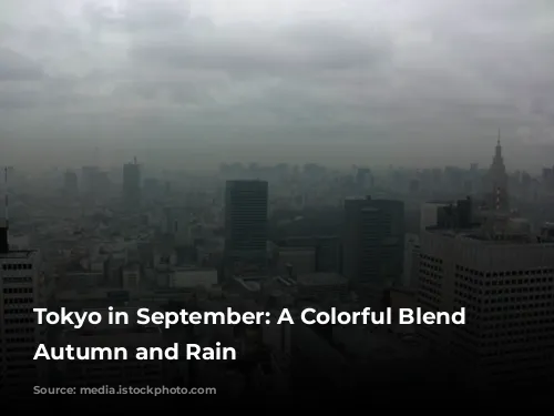 Tokyo in September: A Colorful Blend of Autumn and Rain