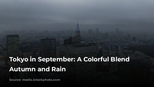 Tokyo in September: A Colorful Blend of Autumn and Rain